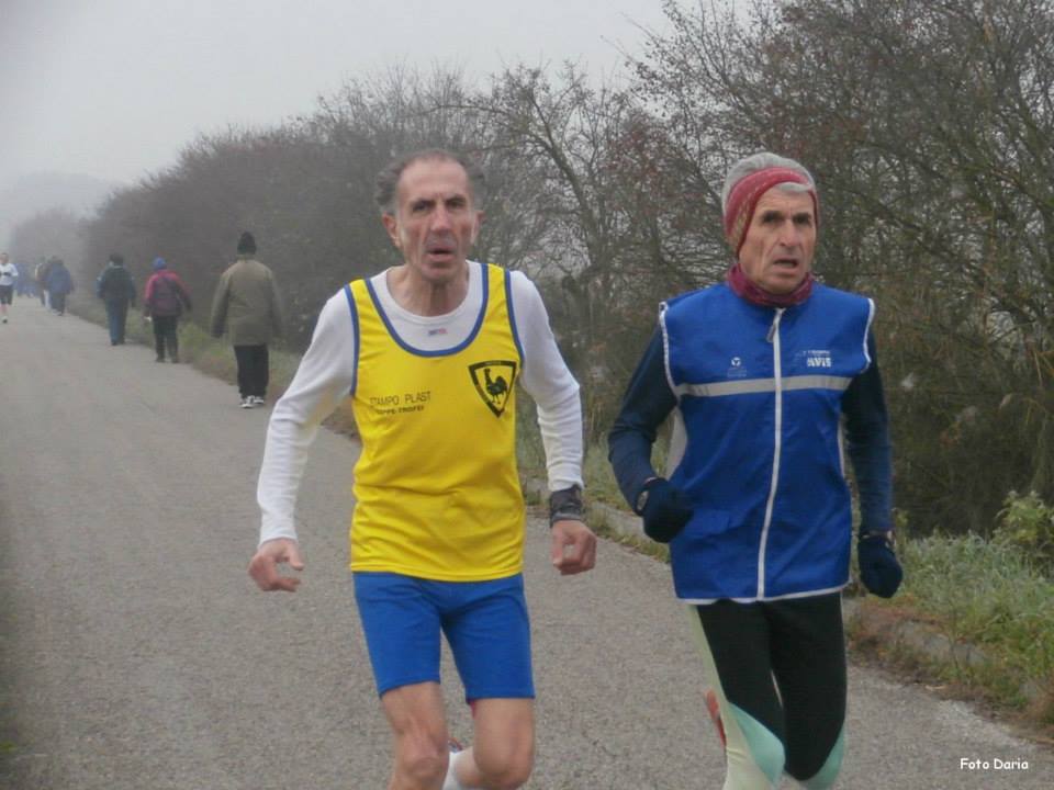 Ravenna: Passeggiata verso il mare d'inverno - 16 febbraio 2014