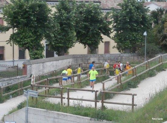 Alfonsine: camminata della sagra - 15 maggio 2014