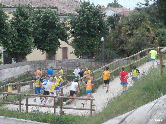Alfonsine: camminata della sagra - 15 maggio 2014