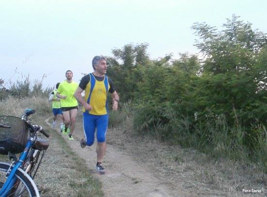 Alfonsine: camminata della sagra - 15 maggio 2014