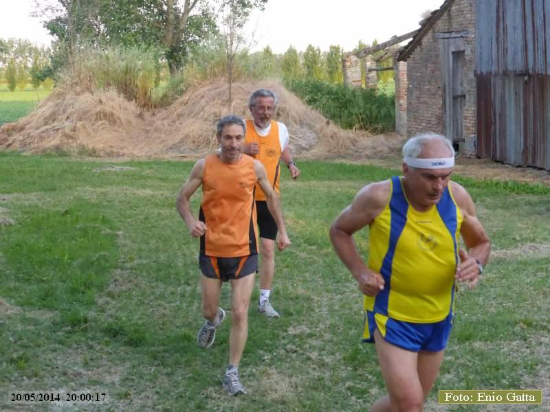Alfonsine: camminata il Bruscolo - 20 maggio 2014