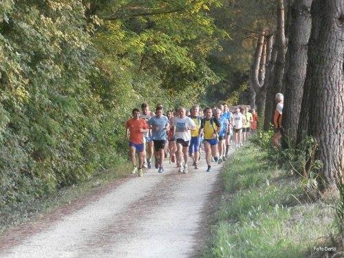 Alfonsine: camminata il Bruscolo - 20 maggio 2014