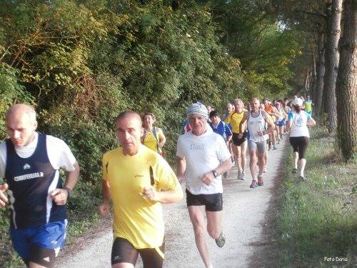Alfonsine: camminata il Bruscolo - 20 maggio 2014