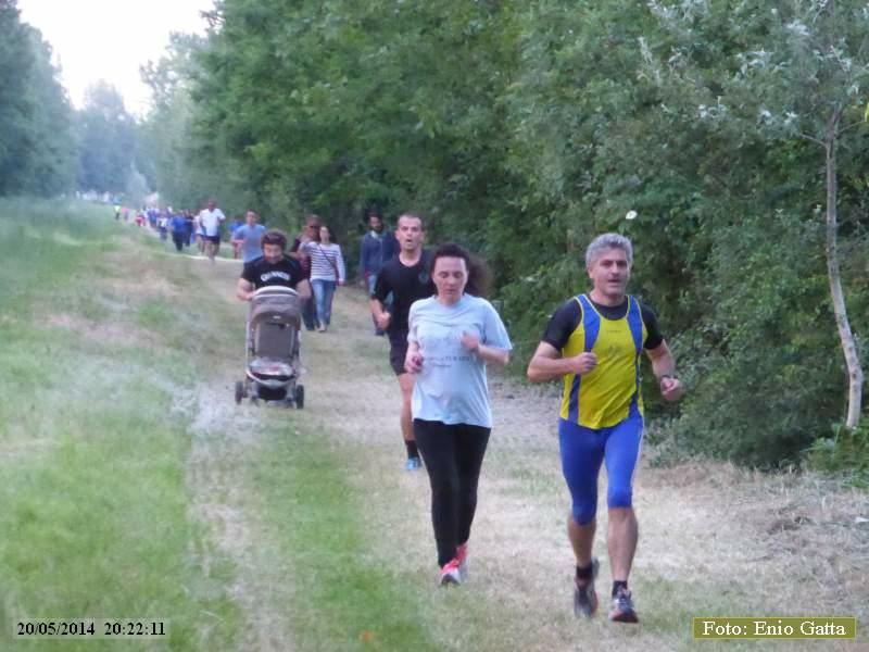 Alfonsine: camminata il Bruscolo - 20 maggio 2014
