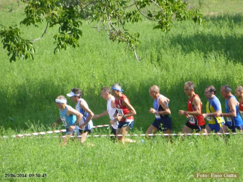 Giro podistico di Selvapiana - 29 giugno 2014