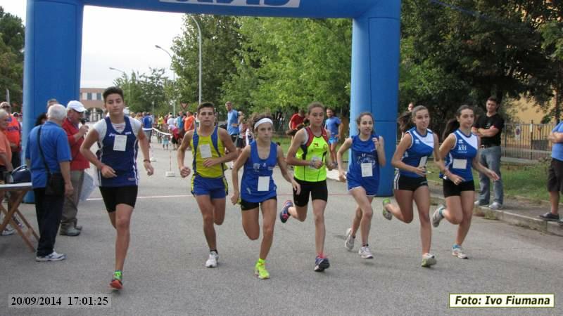 San Martino in Strada: Camminata sulle colline forlivesi - 20 settembre 2014
