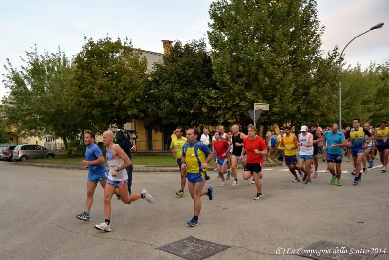 San Martino in Strada: Camminata sulle colline forlivesi - 20 settembre 2014