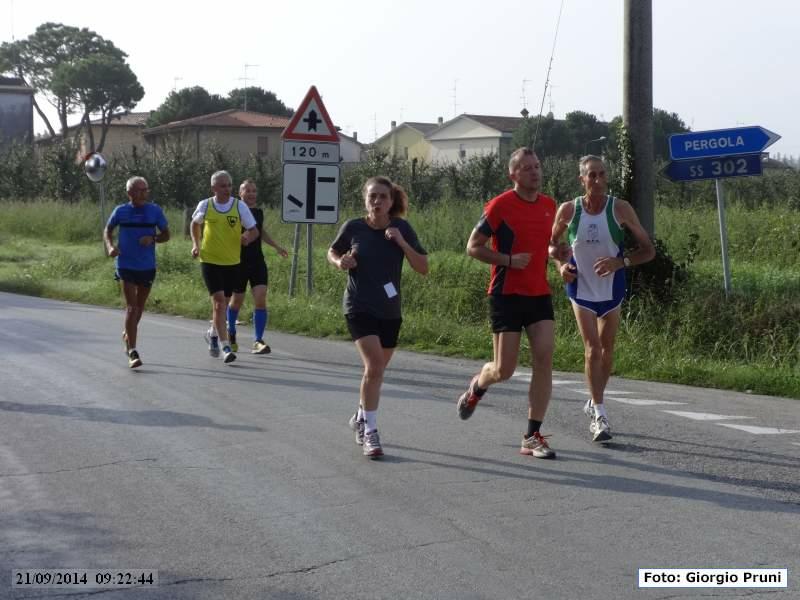 Maratonina Citt di Faenza - 21 settembre 2014