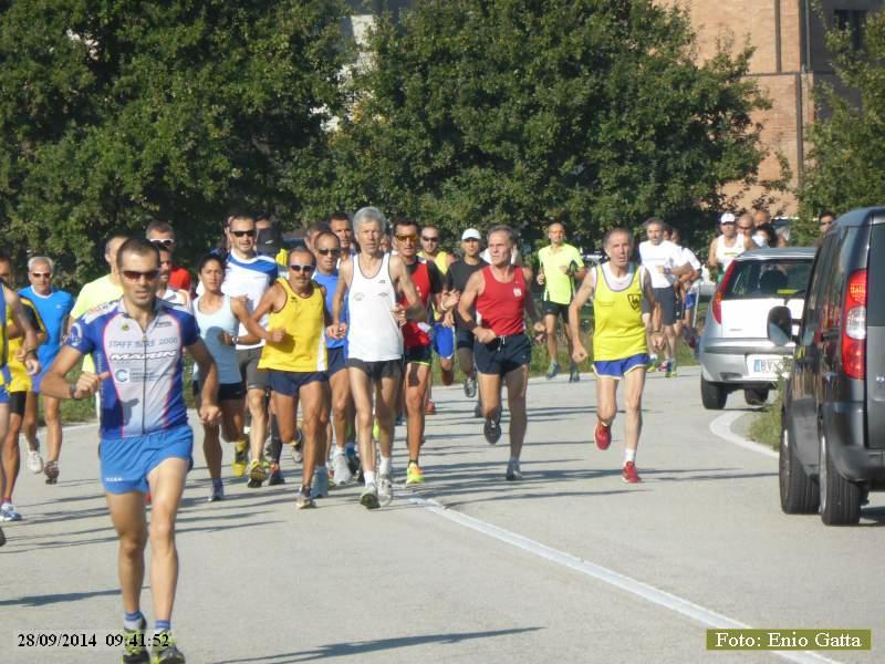 Ravenna: Trofeo Tre Ponti - 28 settembre 2014