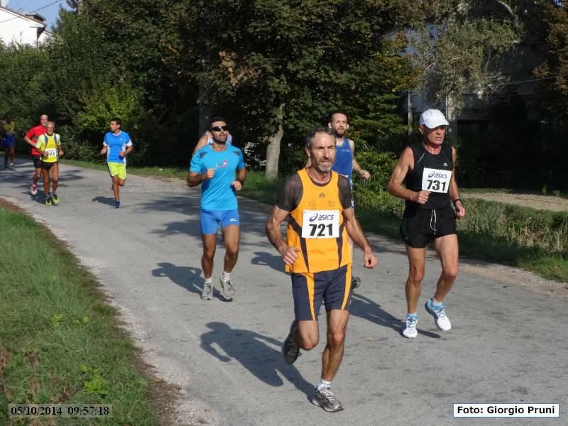 Madonna dell'Albero: Maratonina della Colonna dei Francesi - 05 ottobre 2014