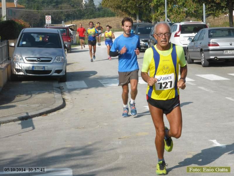 Madonna dell'Albero: Maratonina della Colonna dei Francesi - 05 ottobre 2014