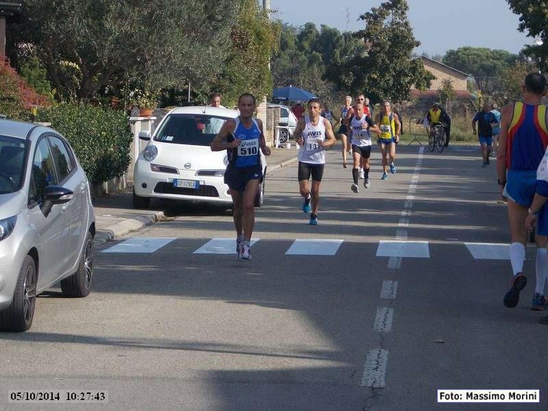 Madonna dell'Albero: Maratonina della Colonna dei Francesi - 05 ottobre 2014