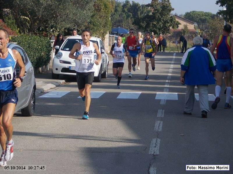 Madonna dell'Albero: Maratonina della Colonna dei Francesi - 05 ottobre 2014