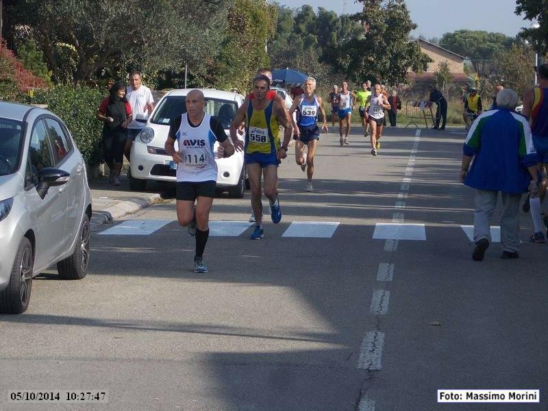 Madonna dell'Albero: Maratonina della Colonna dei Francesi - 05 ottobre 2014