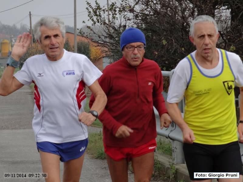 Forlimpopoli: Cavalcata dei colli bertinoresi - 09 Novembre 2014