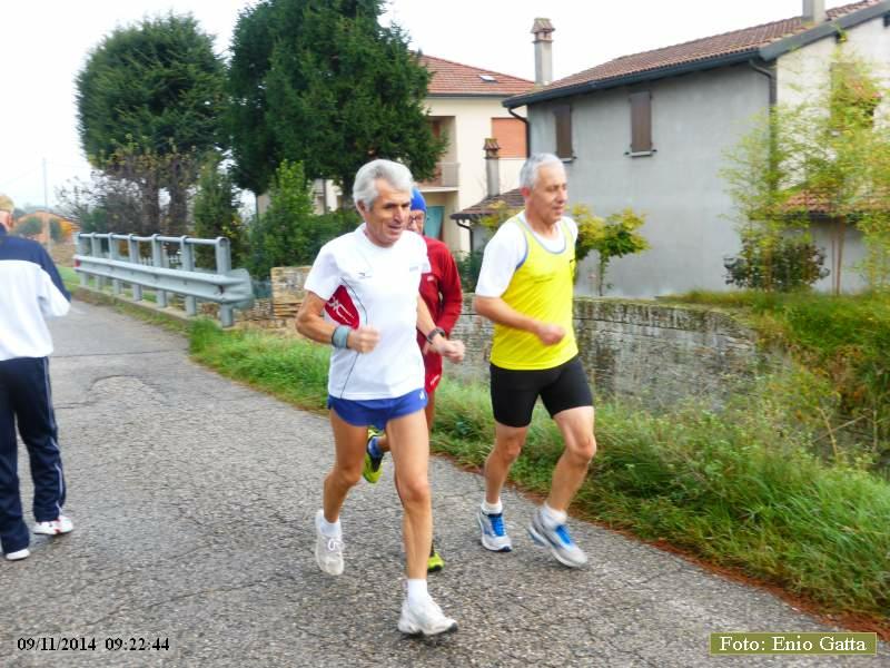 Forlimpopoli: Cavalcata dei colli bertinoresi - 09 Novembre 2014