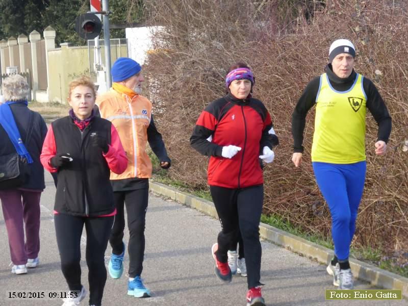 Ravenna: Passeggiata verso il mare d'inverno - 15 Febbraio 2015