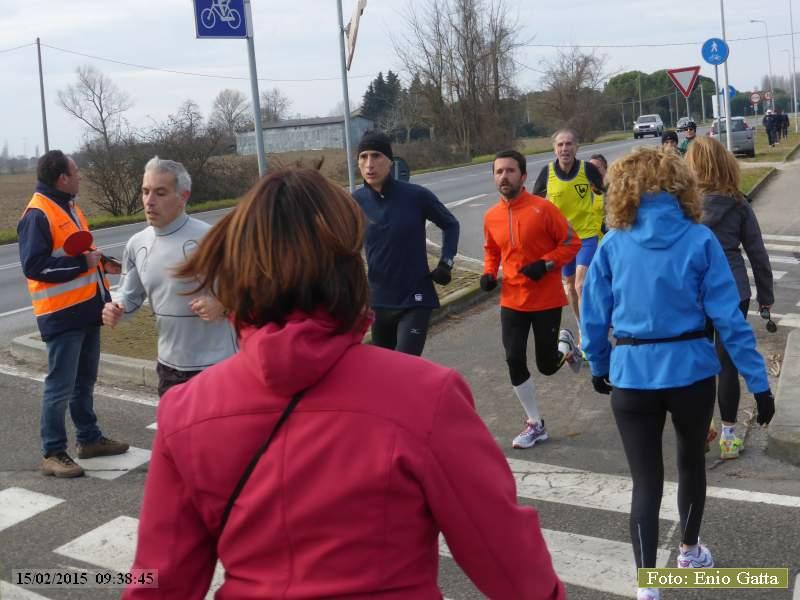 Ravenna: Passeggiata verso il mare d'inverno - 15 Febbraio 2015