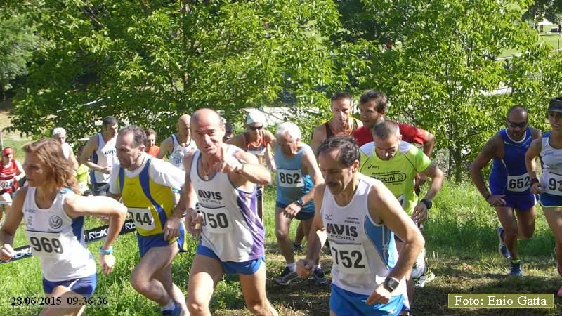 Selvapiana: Giro podistico di Selvapiana - 28 giugno 2015