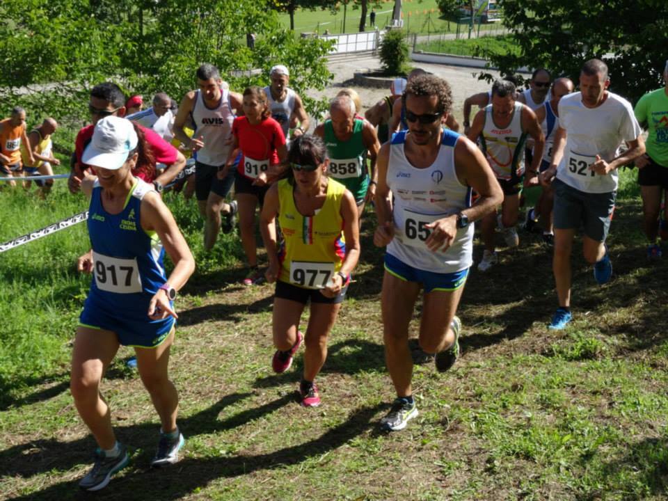 Selvapiana: Giro podistico di Selvapiana - 28 giugno 2015