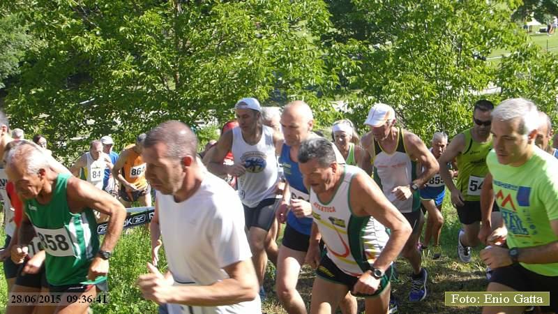 Selvapiana: Giro podistico di Selvapiana - 28 giugno 2015