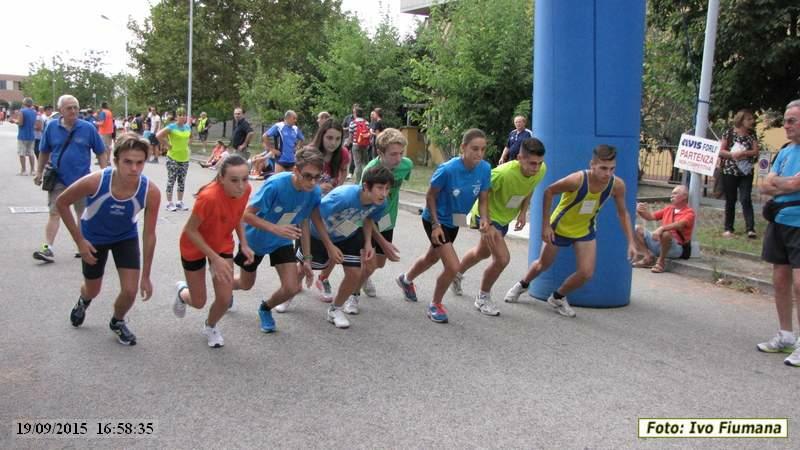 San Martino in Strada: Camminata sulle colline forlivesi - 19 settembre 2015