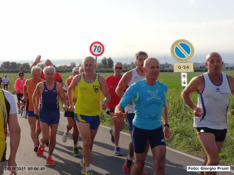 Maratonina citt di Faenza - 20 settembre 2015