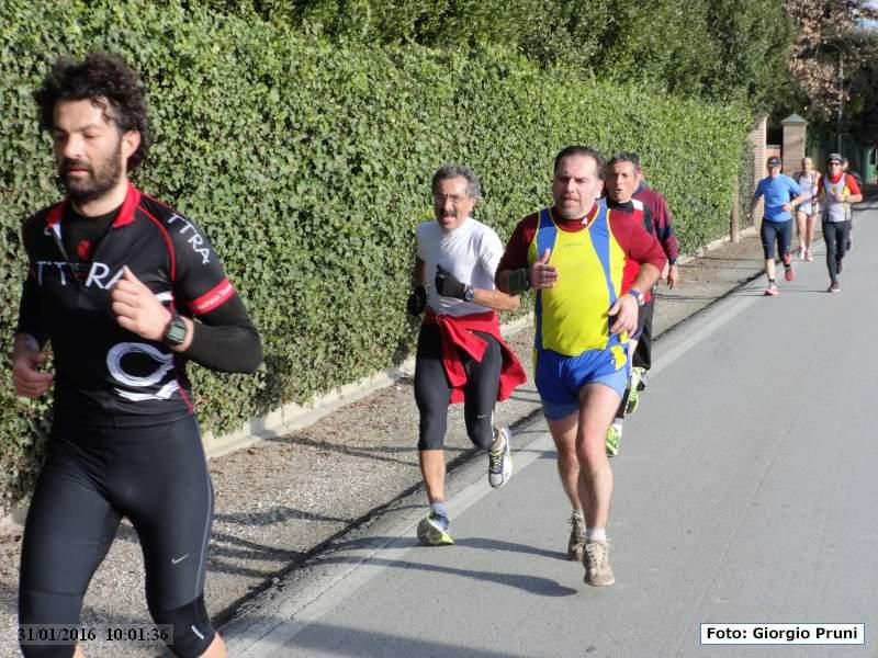 Pisignano-Cannuzzo: Podistica le due province - 31 gennaio 2016