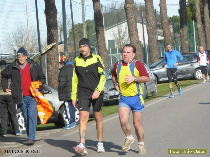 Pisignano-Cannuzzo: Podistica le due province - 31 gennaio 2016