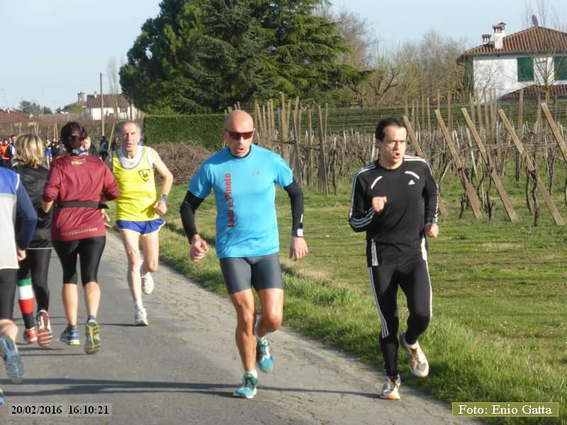 Bagnacavallo: Podistica da Marcello - 20 febbraio 2016