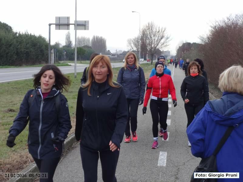 Ravenna: Passeggiata verso il mare d'inverno - 21 Febbraio 2016