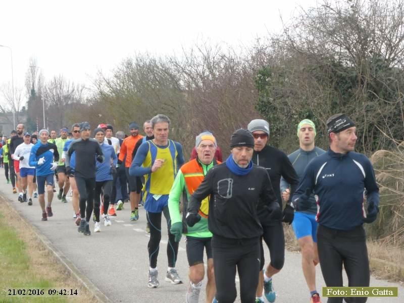 Ravenna: Passeggiata verso il mare d'inverno - 21 Febbraio 2016