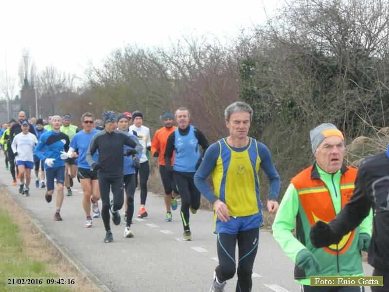 Ravenna: Passeggiata verso il mare d'inverno - 21 Febbraio 2016