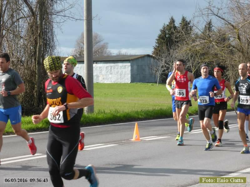 Ravenna: Valli e Pinete - 06 marzo 2016
