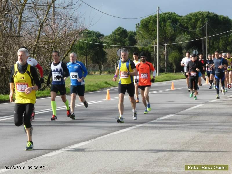 Ravenna: Valli e Pinete - 06 marzo 2016
