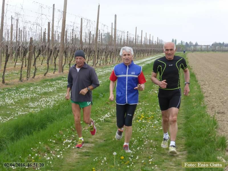 Traversara: Tutta campestre di primavera - 02 aprile 2016