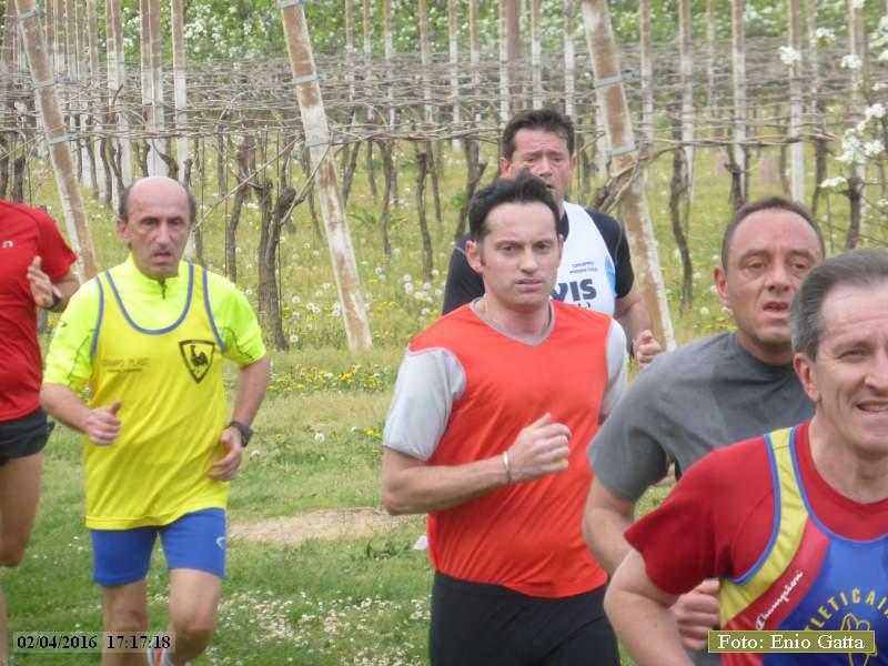 Traversara: Tutta campestre di primavera - 02 aprile 2016