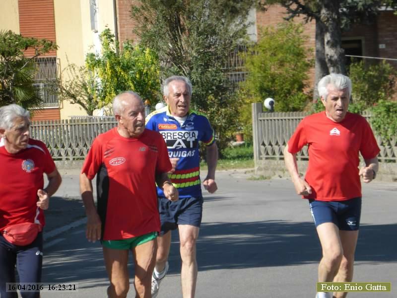 Bagnacavallo: Podistica arte e natura - 16 aprile 2016