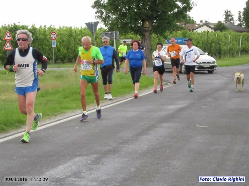 Pieve Cesato: Podistica della Campagna - 30 aprile 2016