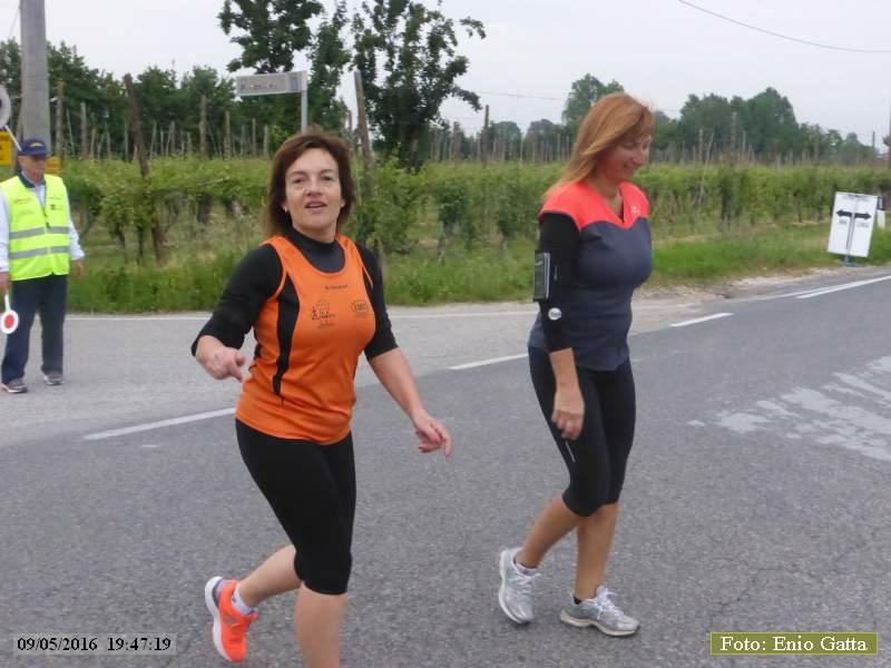 Cotignola: Camminata in mezzo al verde - 09 maggio 2016