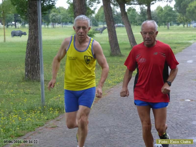 Ponte Nuovo: StraRavenna - 05 giugno 2016
