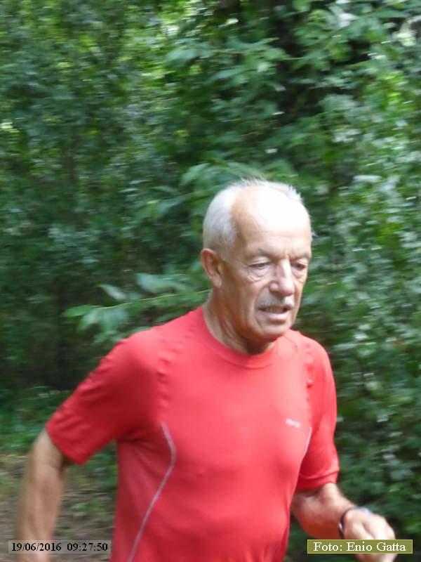 Marina di Ravenna: Camminata della Piallassa - 19 giugno 2016