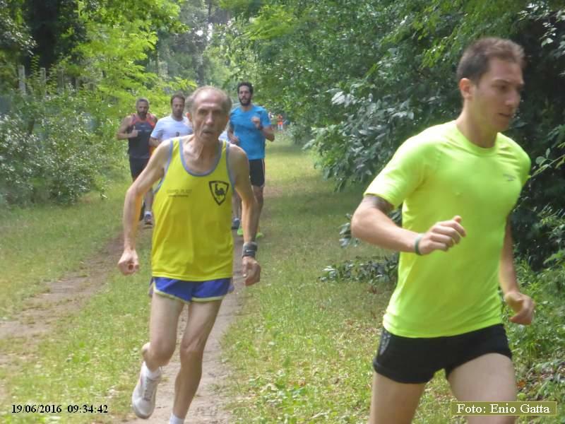 Marina di Ravenna: Camminata della Piallassa - 19 giugno 2016