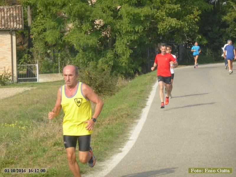 Piangipane: Podistica di Piangipane - 01 ottobre 2016