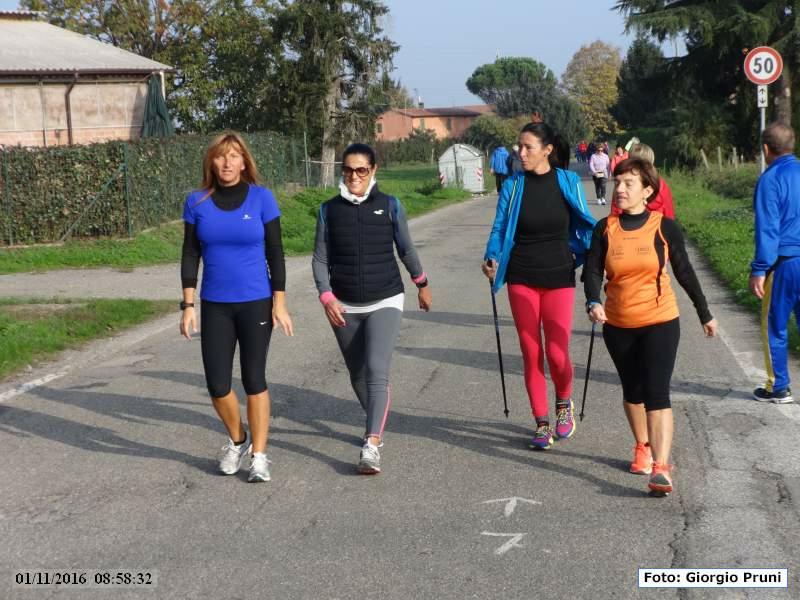 CastelBolognese: Giro della Serra - 01 novembre 2016