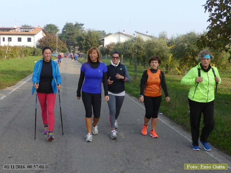 CastelBolognese: Giro della Serra - 01 novembre 2016