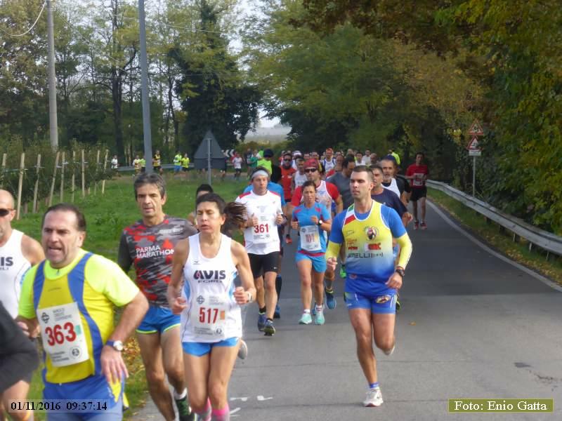 CastelBolognese: Giro della Serra - 01 novembre 2016