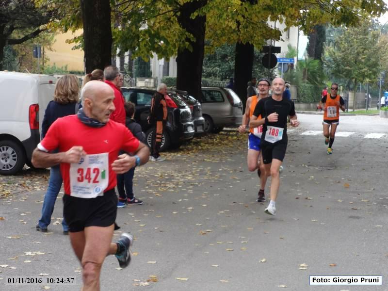 CastelBolognese: Giro della Serra - 01 novembre 2016