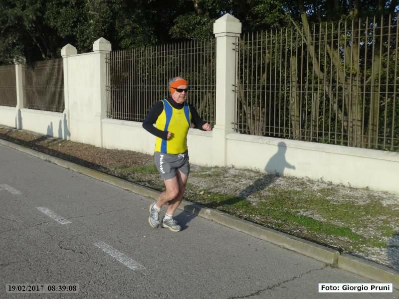 Ravenna: Passeggiata verso il mare d'inverno - 19 Febbraio 2017