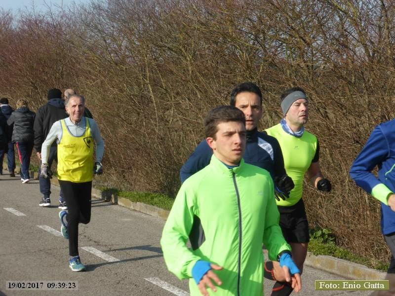 Ravenna: Passeggiata verso il mare d'inverno - 19 Febbraio 2017